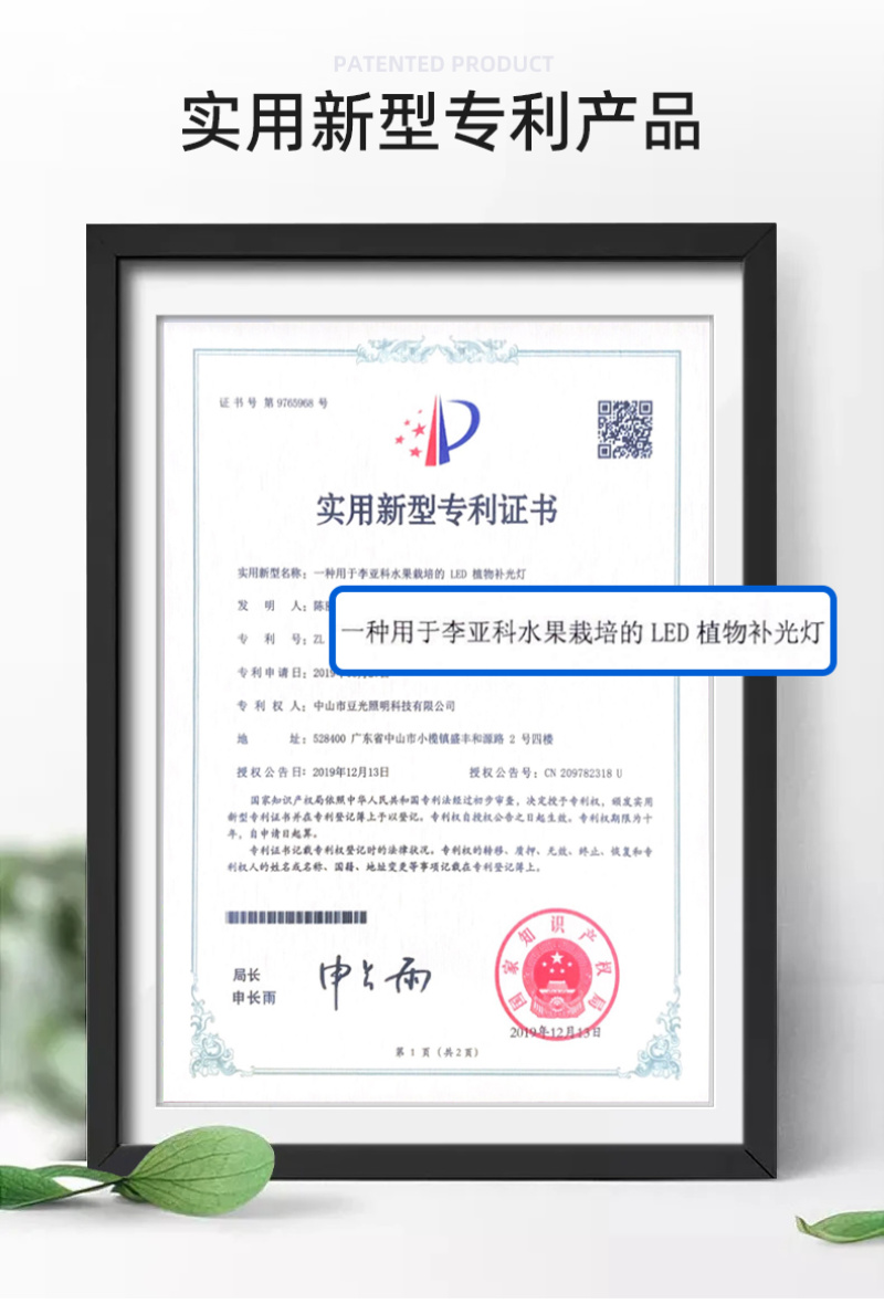 大棚育苗专用补光灯LED全光谱植物生长灯苗床扦插喷雾苗适