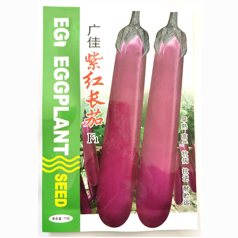 茄子种子茄广紫红长茄种子一代杂交紫红茄子条长