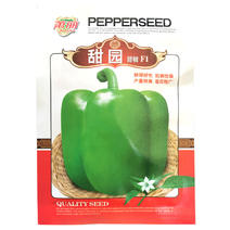 甜园甜椒种子改良新品早熟菜椒灯笼椒青椒肉厚结果多耐低温