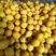优选安岳柠檬黄柠檬精选干果对接全国批发市场可一件代发