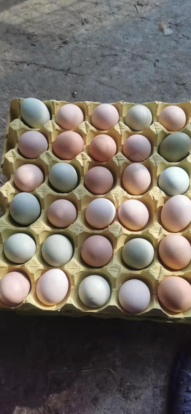 鸡蛋，一件发货，对接商超，批发市场，电商平台发货快