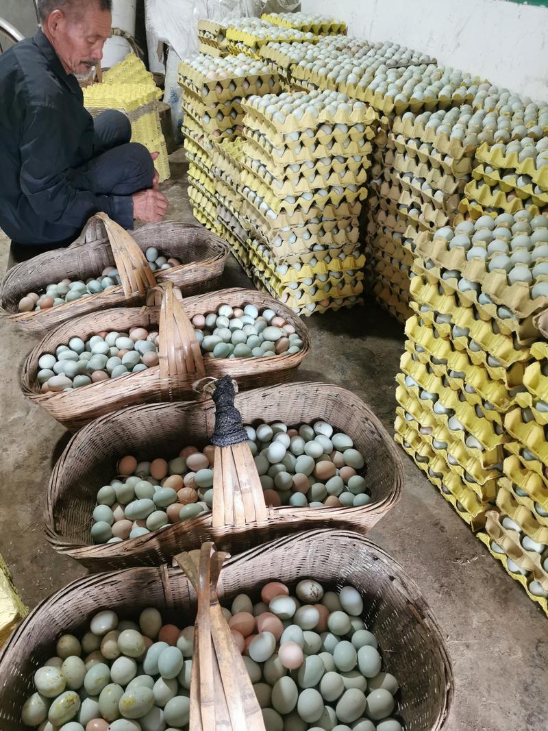 鸡蛋，一件发货，对接商超，批发市场，电商平台发货快