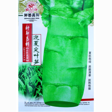 莴笋种子迎夏尖叶笋种子夏季叶抗病性好叶片披针形色