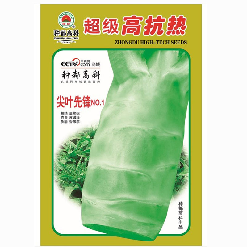 超级高抗热绿叶尖叶先锋莴笋种子耐高湿高抗病不易抽
