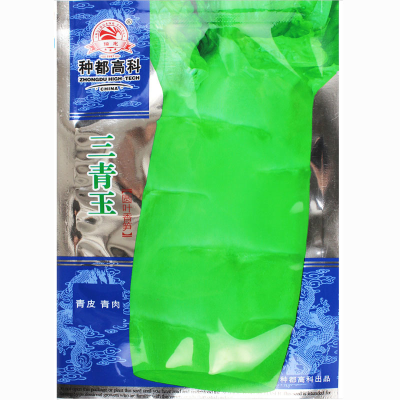 三青玉绿莴笋种子耐寒抗病强香脆绿莴苣种籽菜种秋季冬