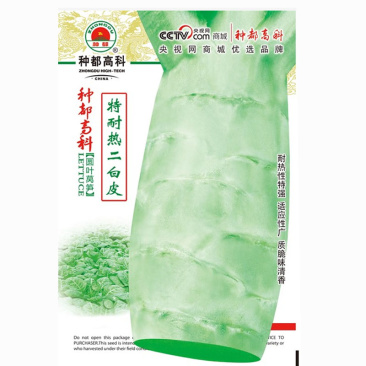 莴笋种子春夏种植耐热二白皮种子耐热性特强叶长椭圆形