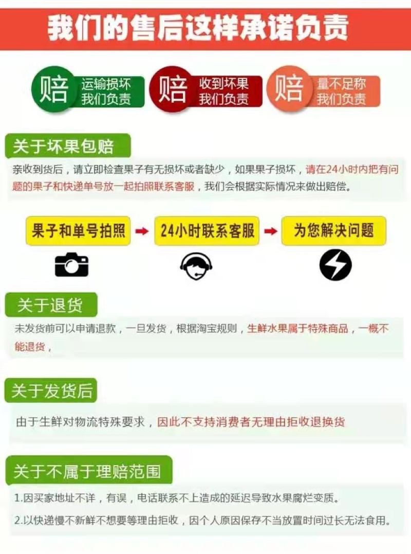 常年批发椰宝产地直发包邮非进口椰6个装全国发货