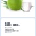 批发【椰子】海南椰青新鲜正宗椰子水现摘当季9个装包邮