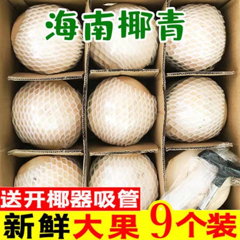 批发【椰子】海南椰青新鲜正宗椰子水现摘当季9个装包邮