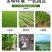 电动撒肥料神器施肥器撒肥机多功能农用小麦水稻播种机全自动