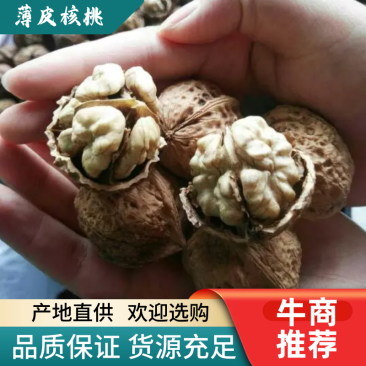 薄皮核桃云南大理漾濞老品种红桐子大果，中果