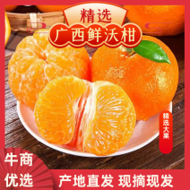 武鸣沃柑美团，多多，社区团购，大量现货供应电商平台对接！