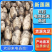 常年大量供应泥藕曹县优质白莲藕，品种多，上货快