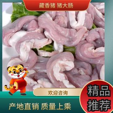木里藏族自治县藏香猪猪大肠小肠基地直销保质保量全国发货