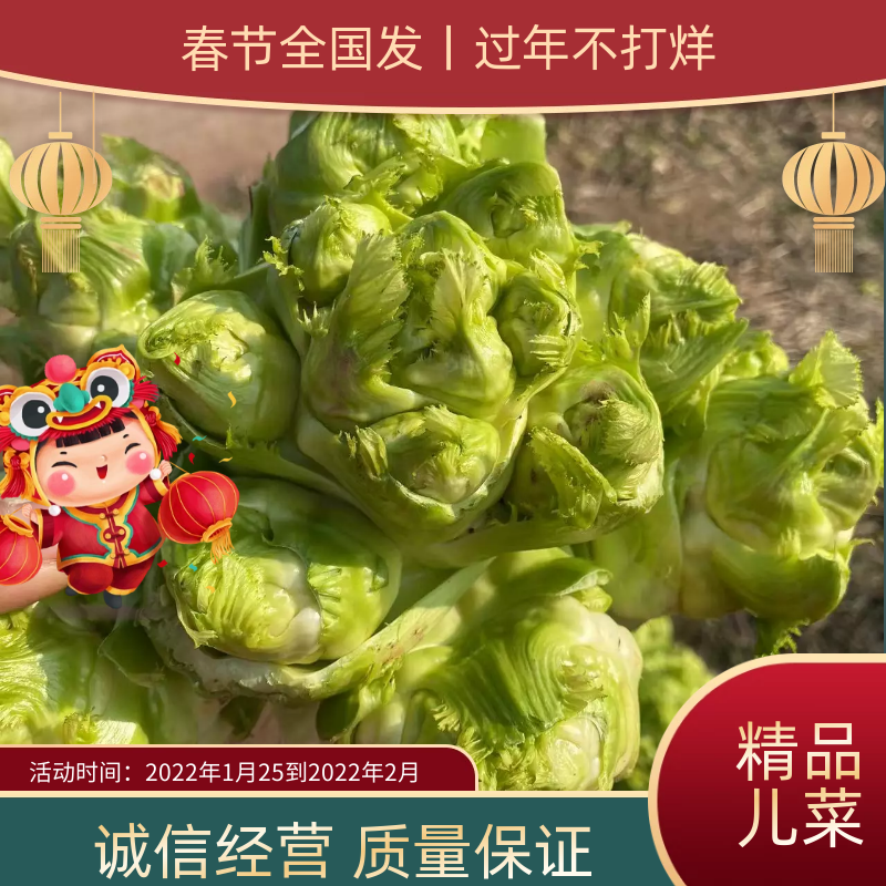 儿菜，基地货，高品质，有量有价，需要的老板联系
