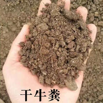 厂家批发干牛粪土壤改良用牛粪有机肥果树蓝莓种植腐熟发酵牛