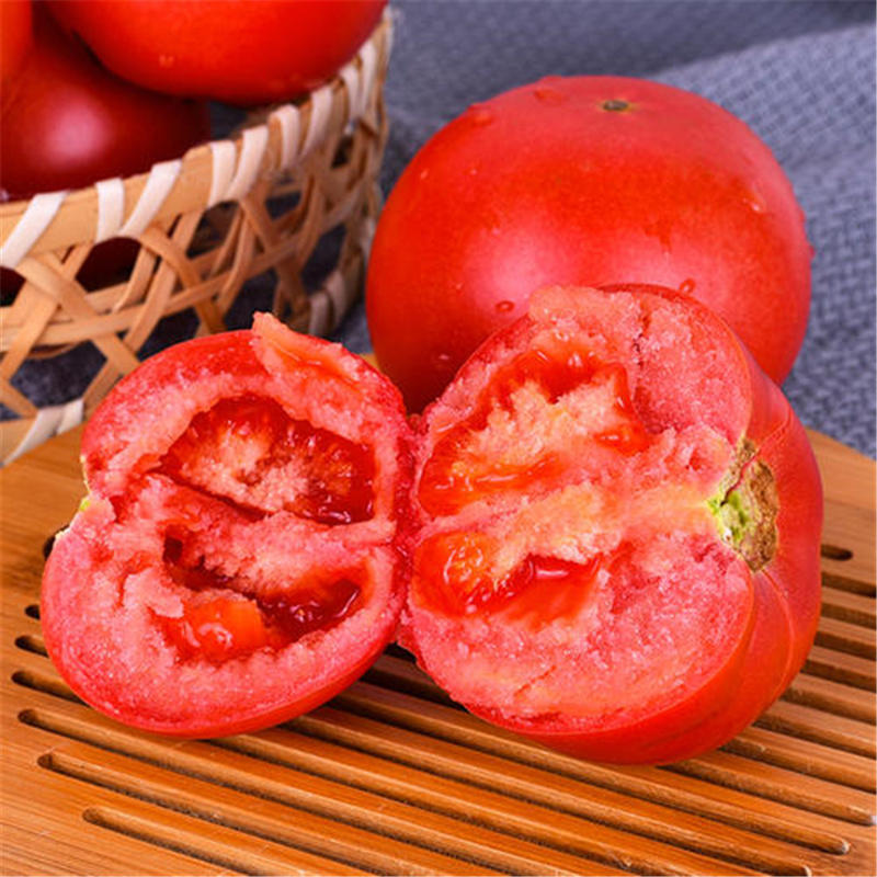西红柿种子太宝一号耐热皇冠蔬菜研究所种子抗病粉果番茄籽
