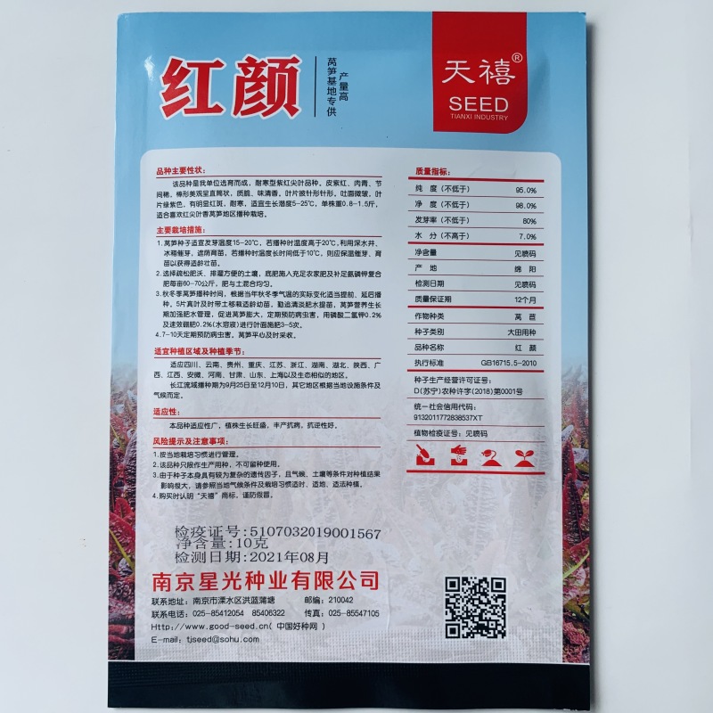 红叶青肉莴笋种子耐寒抗病丰产适应性广大田用种