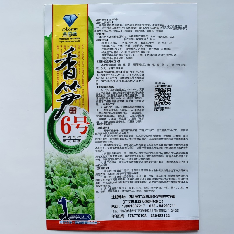 红叶青肉莴笋种子耐寒抗病丰产适应性广大田用种