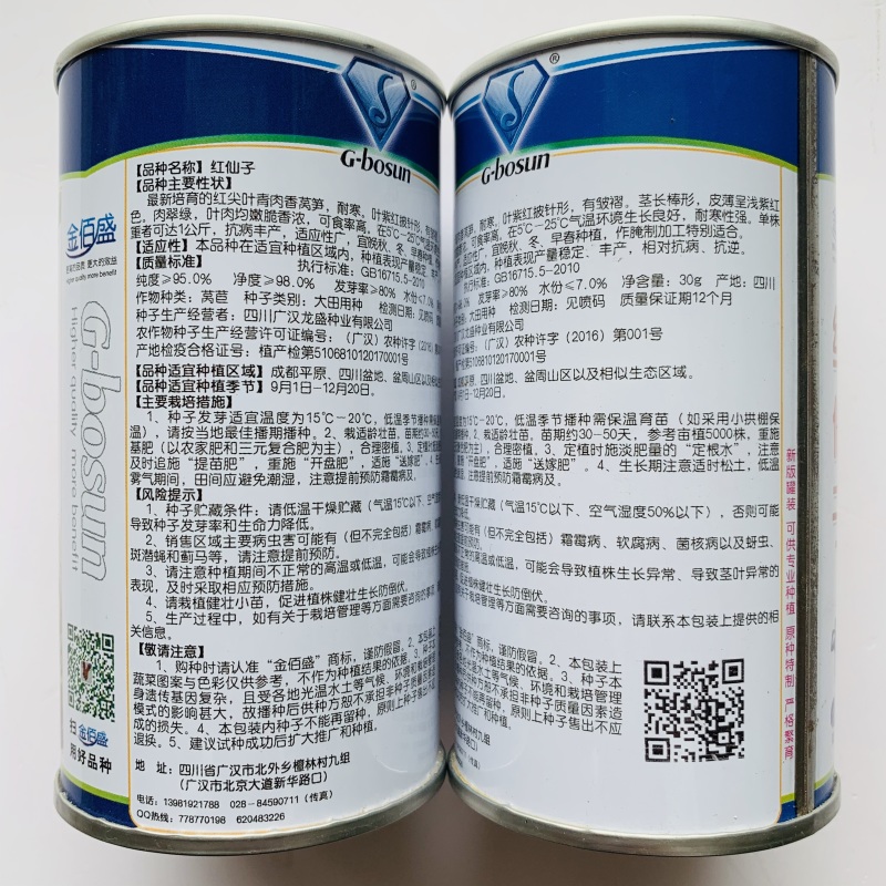 红叶青肉莴笋种子耐寒抗病丰产适应性广大田用种