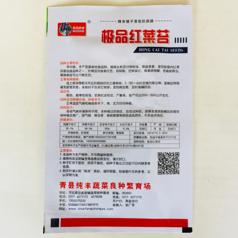 白菜苔种子早熟耐热抗病红菜苔种子产量高菜心种子纤维少