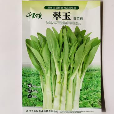 白菜苔种子红菜苔种子味道脆甜适应性广抗病性强商品性好