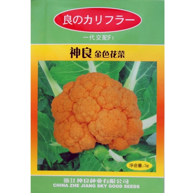 黄花菜种子金色花菜花椰菜籽早熟高产特菜杂交品种