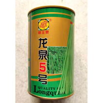 龙泉5号豇豆种子翠绿色特长豆早熟高产无鼠尾基地大面积种植