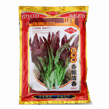 红油麦菜种子火锅蔬菜种植容易叶菜花紫色生长迅速春夏播种春