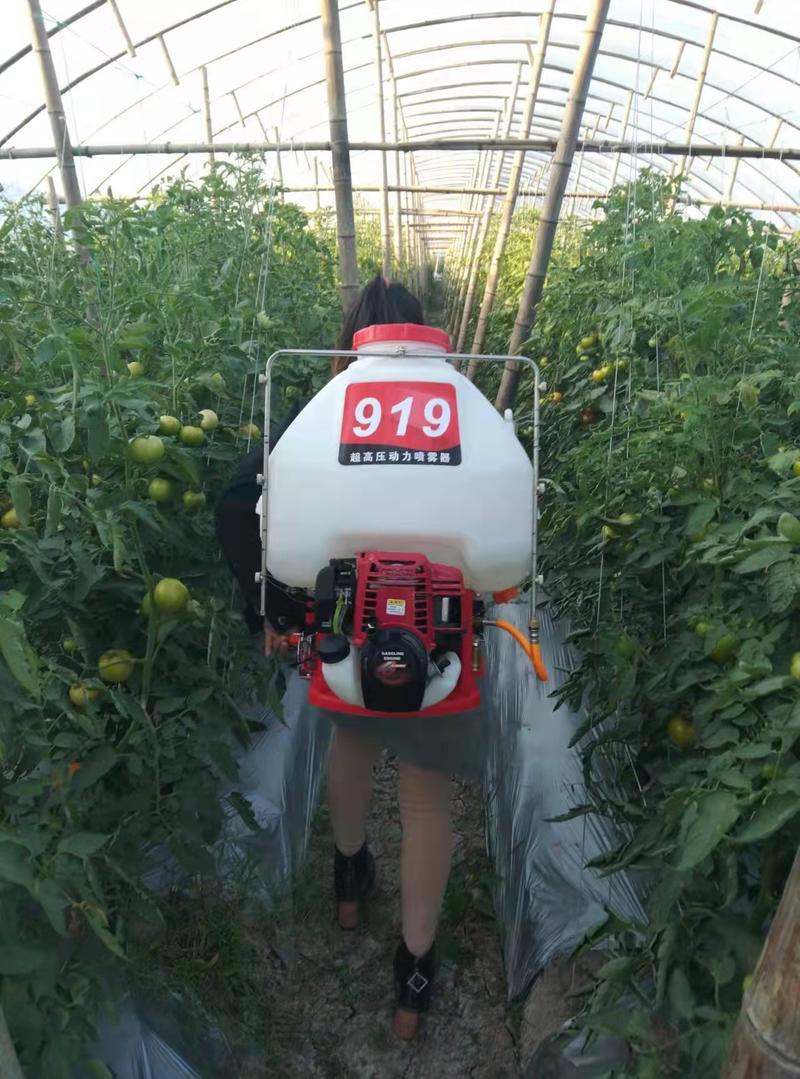 喷雾器农药机喷雾机汽油打药机高压新型农用全自动消毒养殖场