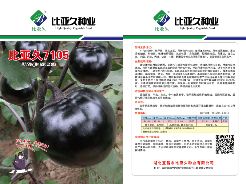茄子种子7105圆茄种子极早熟果实正圆型茄子耐储运