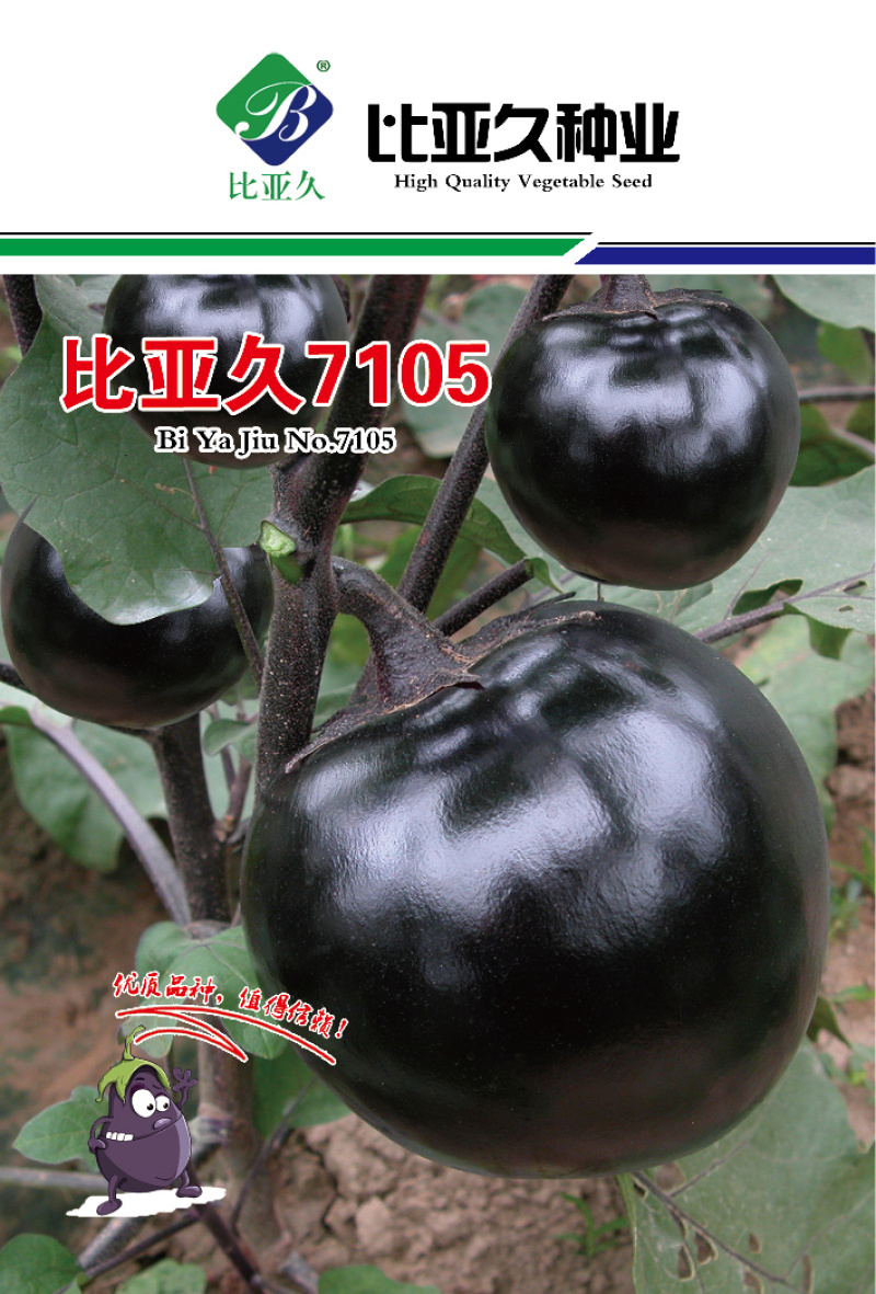 茄子种子7105圆茄种子极早熟果实正圆型茄子耐储运