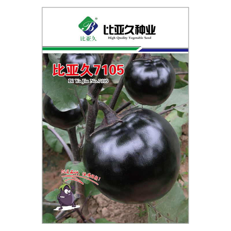 茄子种子7105圆茄种子极早熟果实正圆型茄子耐储运