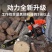 油锯伐木锯汽油锯大功率进口小型家用德国原装多功能砍树神器