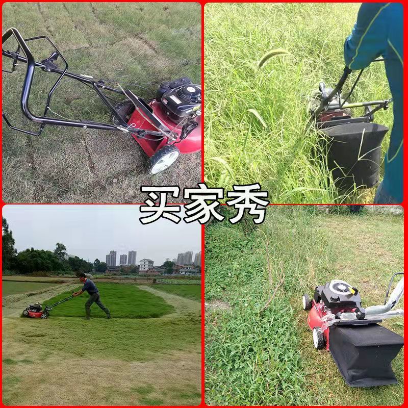 草坪机手推式20寸四冲程汽油自走割草机除草机打草剪草神器