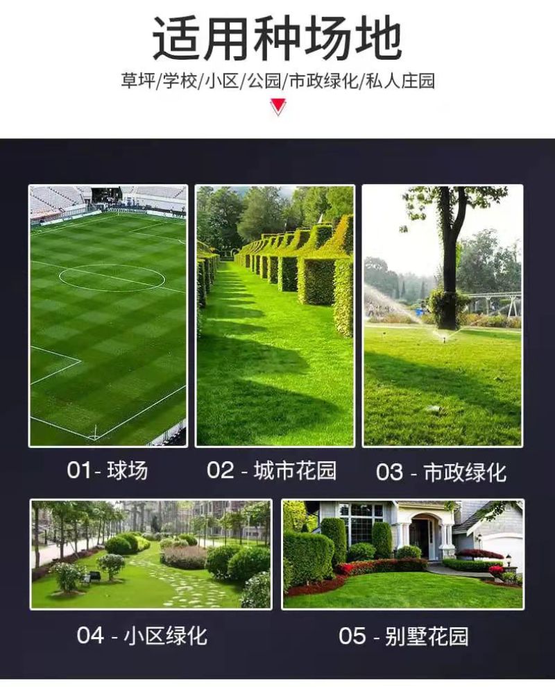 草坪机手推式20寸四冲程汽油自走割草机除草机打草剪草神器