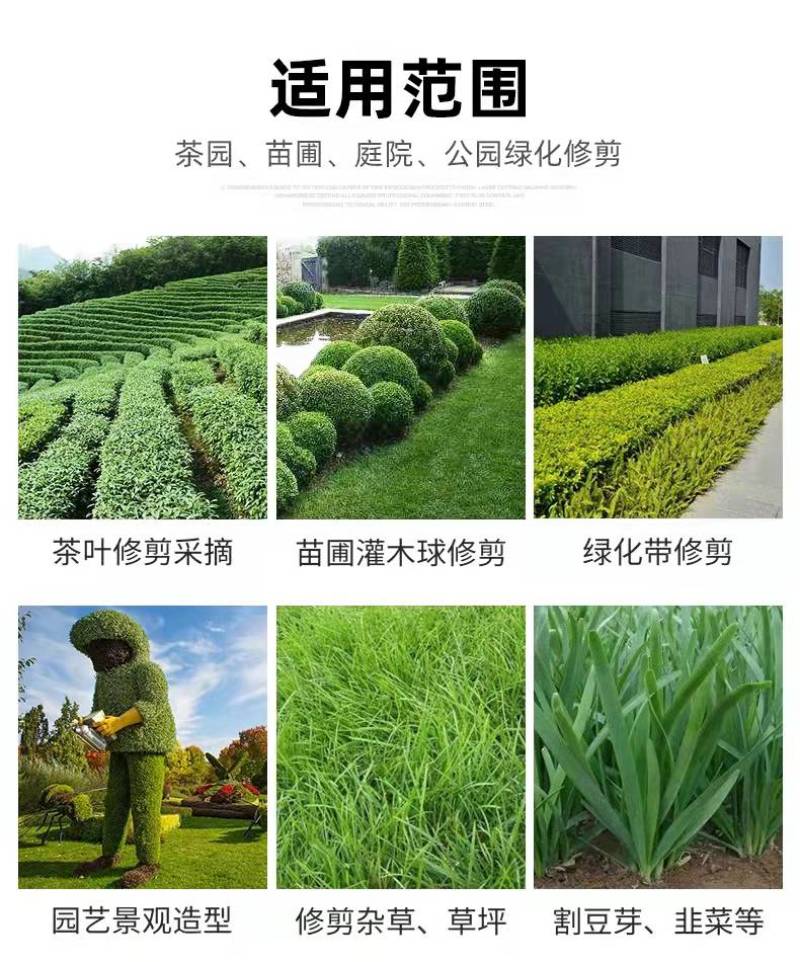 无刷电动采茶机单人便携式小型迷你修剪机充电式绿篱机茶叶采