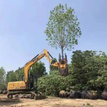 大型挖树机起树机移栽机移树机树苗起苗机土球植树挖树坑机一