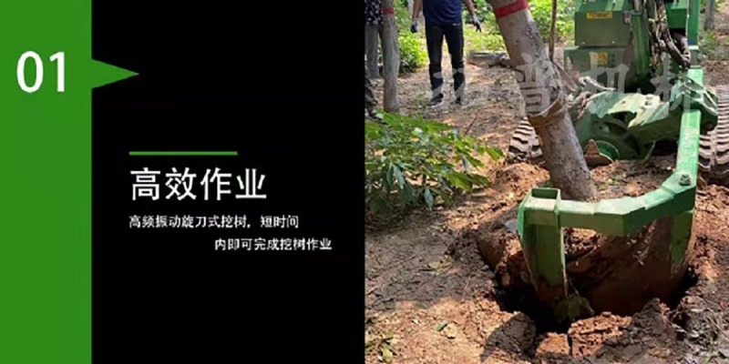 履带式挖树机大型挖树机移栽树挖树起吊一体机裸根铲起苗神器