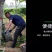 履带式挖树机大型挖树机移栽树挖树起吊一体机裸根铲起苗神器