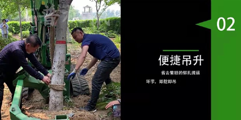 履带式挖树机大型挖树机移栽树挖树起吊一体机裸根铲起苗神器