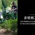 履带式挖树机大型挖树机移栽树挖树起吊一体机裸根铲起苗神器