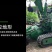 履带式挖树机大型挖树机移栽树挖树起吊一体机裸根铲起苗神器
