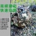 履带式挖树机大型挖树机移栽树挖树起吊一体机裸根铲起苗神器