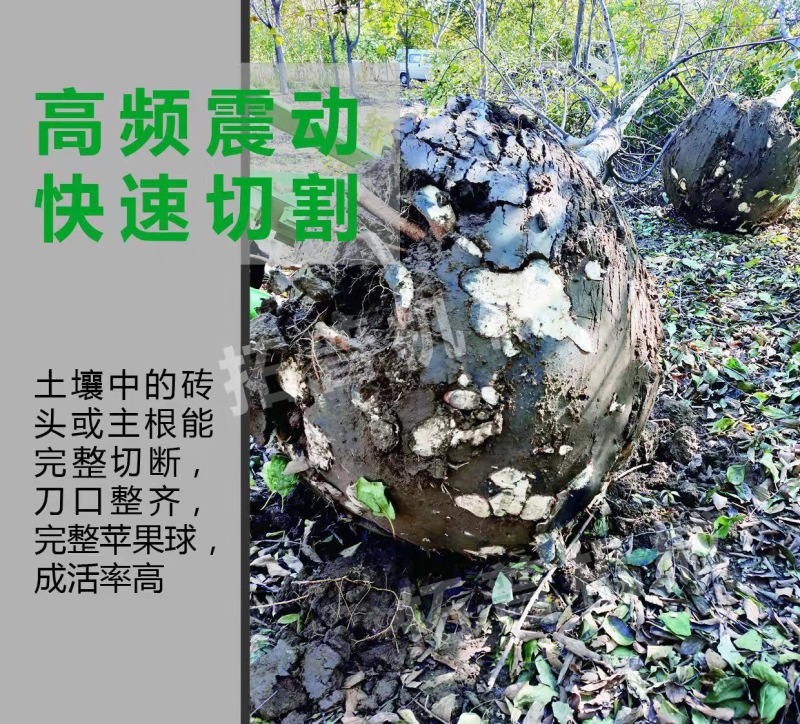 履带式挖树机大型挖树机移栽树挖树起吊一体机裸根铲起苗神器