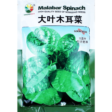 大叶木耳菜种子苗落葵小青菜耐高温高湿春夏四季阳台盆栽蔬菜