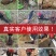多功能汽油镐移树机小型起树机挖树机起苗机土球家用便携式挖
