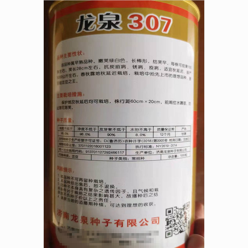 芸豆种子龙泉307芸豆种九粒白早熟抗病高产春秋芸豆豆角耔