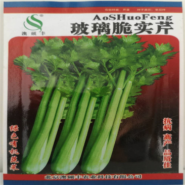 玻璃脆实芹种子西芹菜种籽实心质脆味鲜秋季四季大田蔬菜