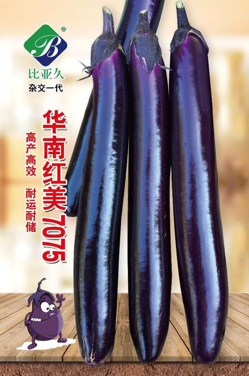茄子种子华南红美7075紫红长茄种子抗病高产光亮顺直